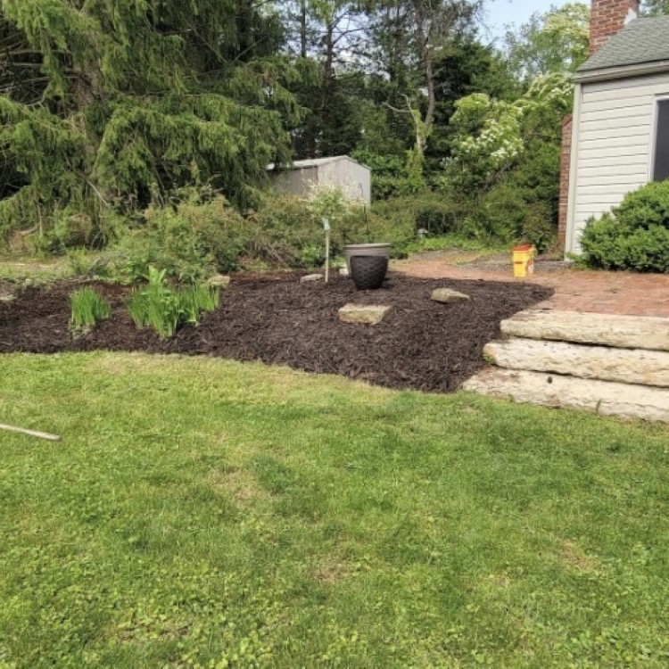 Just another WordPress site