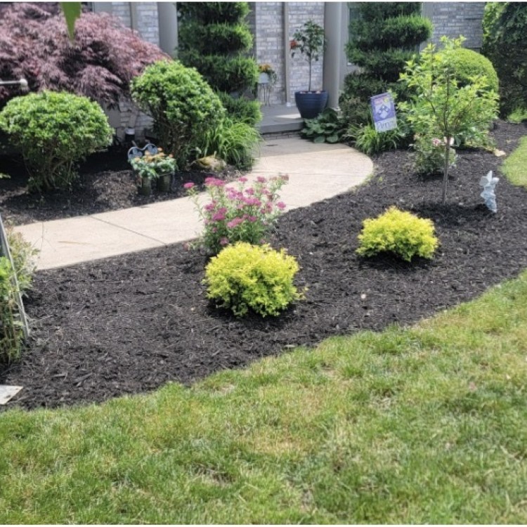 Just another WordPress site