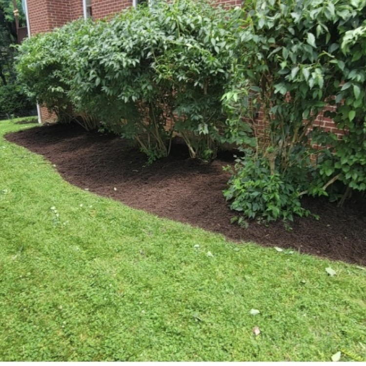 Just another WordPress site