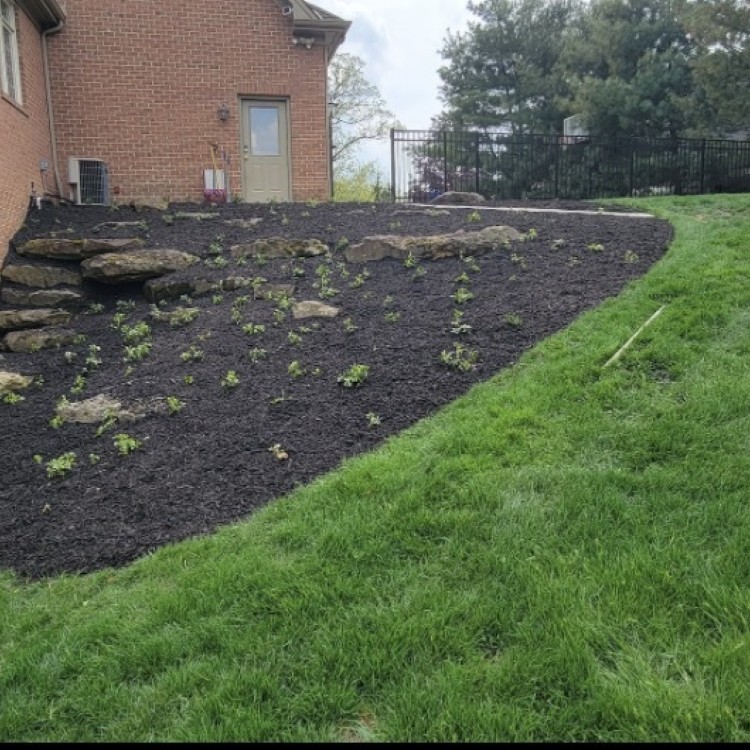 Just another WordPress site