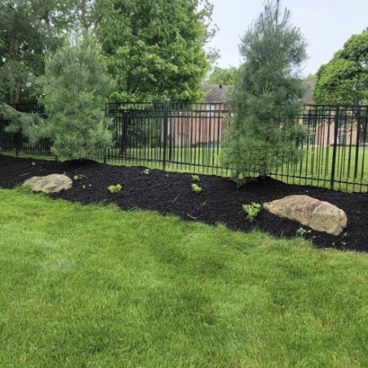 Just another WordPress site