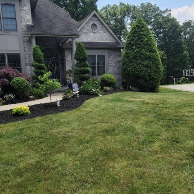 Just another WordPress site