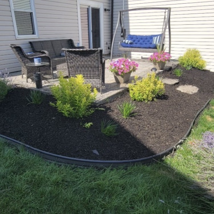 Just another WordPress site